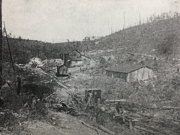 Paddy's Run Logging Camp_The Greater Renovo Area Heritage Park